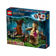 LEGO Harry Potter Prepovedani gozd: Temyna dobi, kar ji gre (75967) 