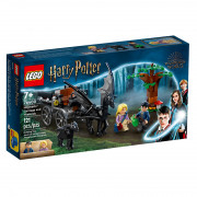 LEGO Harry Potter Bradavičarska™ kočija z žvadrni (76400) 
