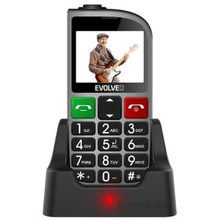 EVOLVEO Easy Phone 800 Fm 2,3" Dual SIM srebrn mobilni telefon Mobile
