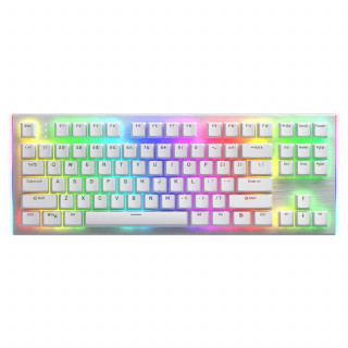 HATOR Gravity X TKL tipkovnica Igranje iger USB QWERTY Angleška (ZDA) Bela PC
