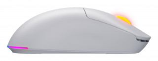 HATOR Quasar 3 Wireless miška Igranje iger Obojeročna RF Wireless + Bluetooth + USB Type-A Optični 12000 DPI PC