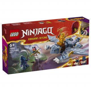 LEGO Ninjago Mali zmajček Riyu (71810) Igra 