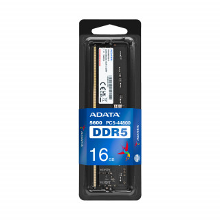 ADATA AD5U560016G-S pomnilniški modul 16 GB 1 x 16 GB DDR5 5600 MHz PC