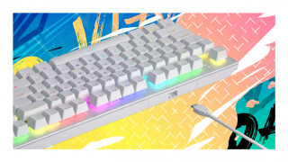 HATOR Gravity X TKL tipkovnica Igranje iger USB QWERTY Angleška (ZDA) Bela PC