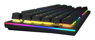 HATOR Gravity X TKL tipkovnica Igranje iger USB QWERTY Angleška (ZDA) Črna PC