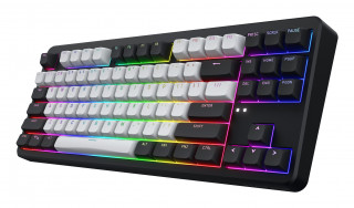 HATOR Rockfall 3 TKL Wireless tipkovnica Igranje iger USB + RF Wireless + Bluetooth QWERTY Ukrajinski Črna PC
