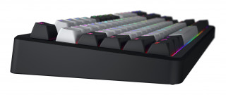 HATOR Rockfall 3 TKL Wireless tipkovnica Igranje iger USB + RF Wireless + Bluetooth QWERTY Ukrajinski Črna PC