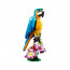 LEGO Creator: Eksotični papagaj (31136) thumbnail