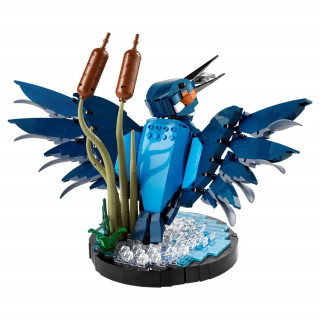 LEGO Icons Kingfisher Bird (10331) Igra 