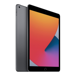 10,2-palčni iPad Wi-Fi 32 GB Space Gray Tablica