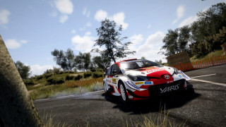 WRC 10 FIA World Rally Championship PC