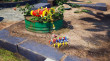 Pikmin 4 thumbnail